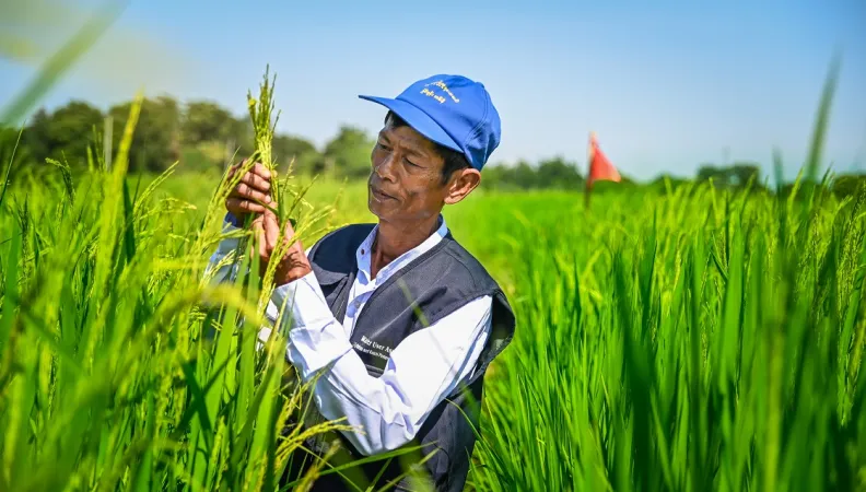 Transition agro-écologique Asie du Sud-Est AFD