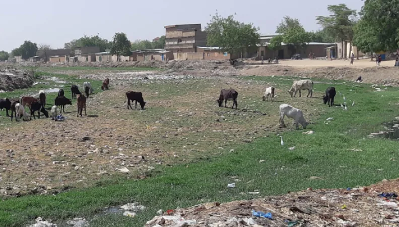 Réhabiliter le canal des Jardiniers, Tchad, AFD