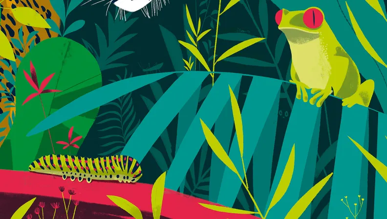 nature biodiversité environnement forêt tropicale