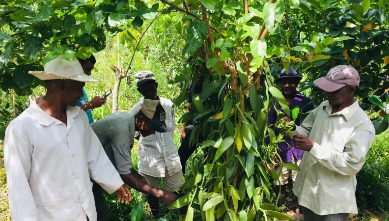 agriculture durable et conservation de la biodiversité au service des communautés locales 