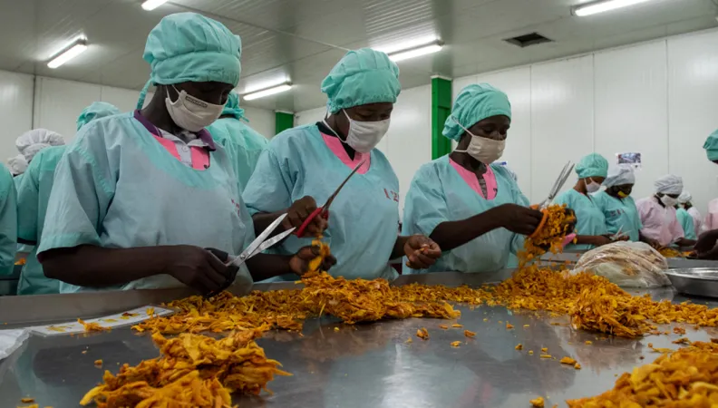 initiative "choose Africa": 1 milliard de plus pour les TPE-PME africaines