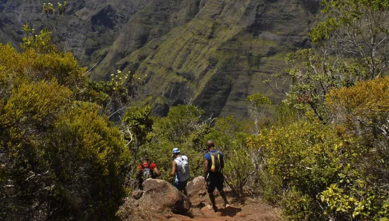 Protéger une biodiversité remarquable