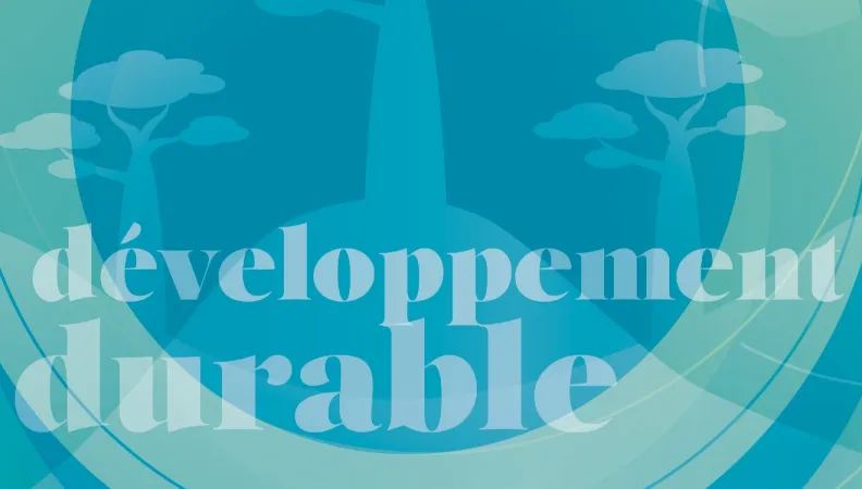 Aménagement durable du littoral de la Commune Urbaine de Morondava (CUM) face au défi du changement climatique avec la Région Réunion