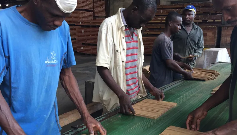 STRIVE : Insertion socio-professionnelle des jeunes et développement de filières agricoles rémunératrices au Libéria