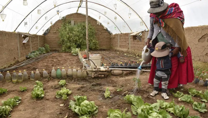 Consolidation d’une agriculture résiliente au changement climatique 