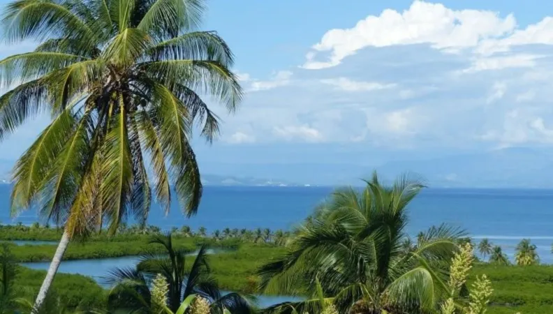 Ce projet vise à doter le Fonds haïtien pour la biodiversité (FHB) d’une capacité de financement en faveur de la biodiversité en Haïti