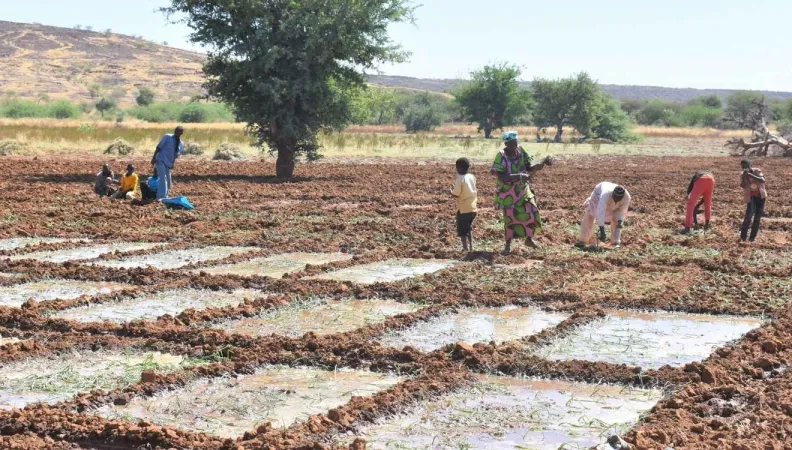 Un projet pour répondre au défi de la mise en place de systèmes alimentaires durables, sains et inclusifs reposant sur les agricultures familiales