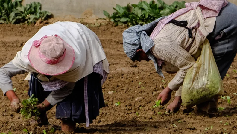 L’AFD revendique être une agence féministe qui s’inscrit dans la diplomatie française soucieuse de l’égalité femmes-hommes