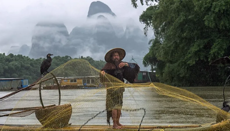 Pêcheur à Yangshuo (région du Guangxi)