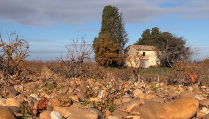 Diluvium alpin de Châteauneuf-du-Pape