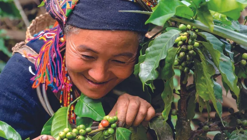 In Laos, 65% of the population lives in rural areas and depends on agriculture