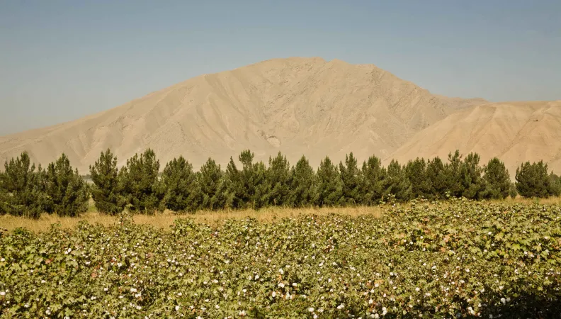Afghanistan Paysage agricole