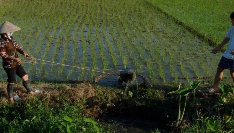 Ce projet a pour objectif d’augmenter la connaissance du grand public sur les inégalités
