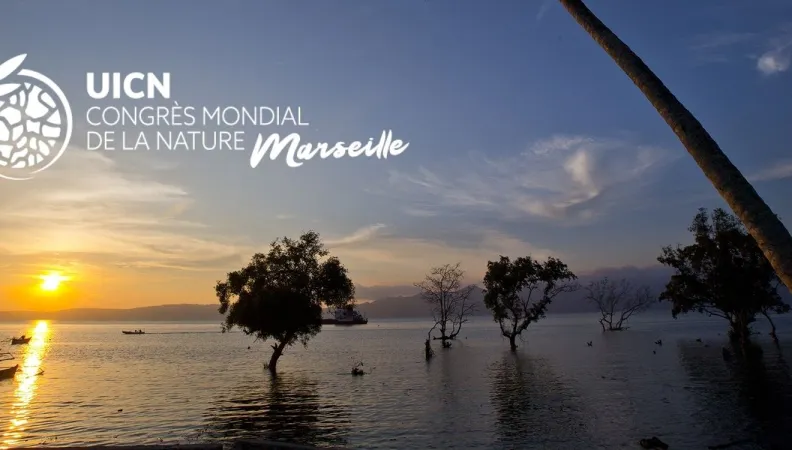 L’Union internationale pour la conservation de la nature (UICN) a organisé avec la France son Congrès mondial pour la nature du 3 au 11 septembre 2021 à Marseille