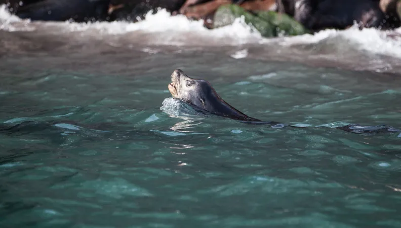 Bahia de Kino, Mexico