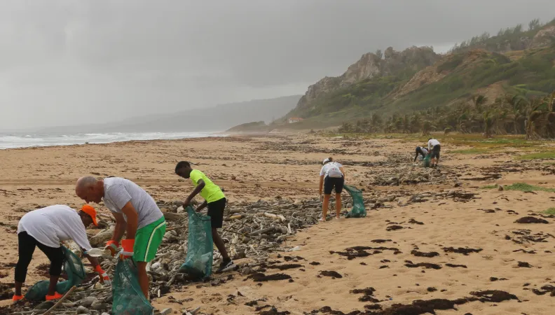 Cop26 Conservation in the Caribbean - Cleaning the beach