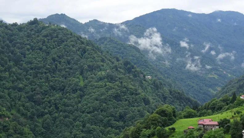 Préserver la forêt turque, projet AFD