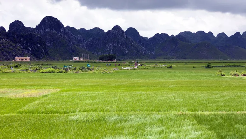 Avec plus de 3 200 km de côtes, le Vietnam est l’un des pays les plus vulnérables face aux conséquences du changement climatique