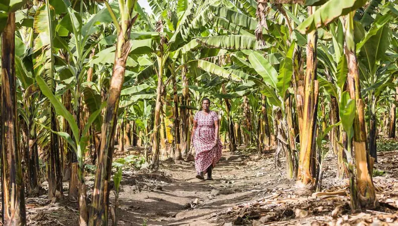conférence Le genre dans l’adaptation au changement climatique