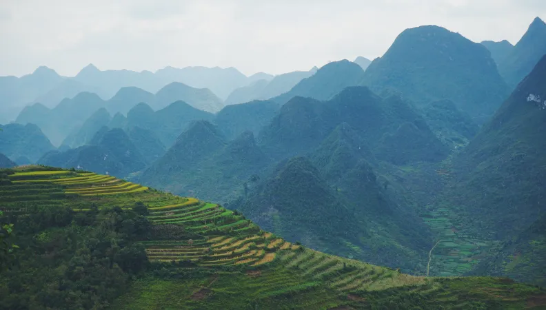 Paysage au Vietnam