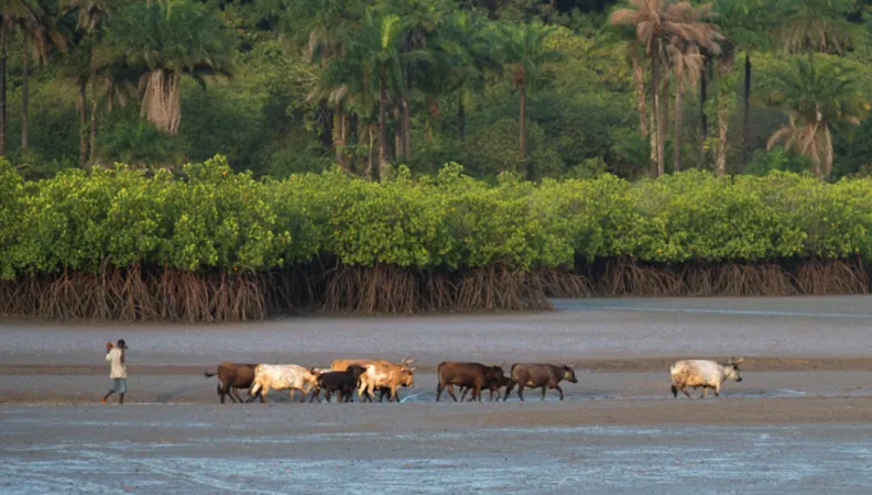 Programme pour la Gouvernance Concertée du Littoral