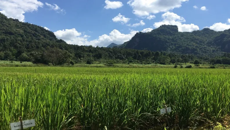 secours-catholique-transition-durable