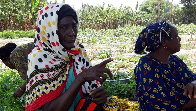 photo-maraichage-haute-guinée