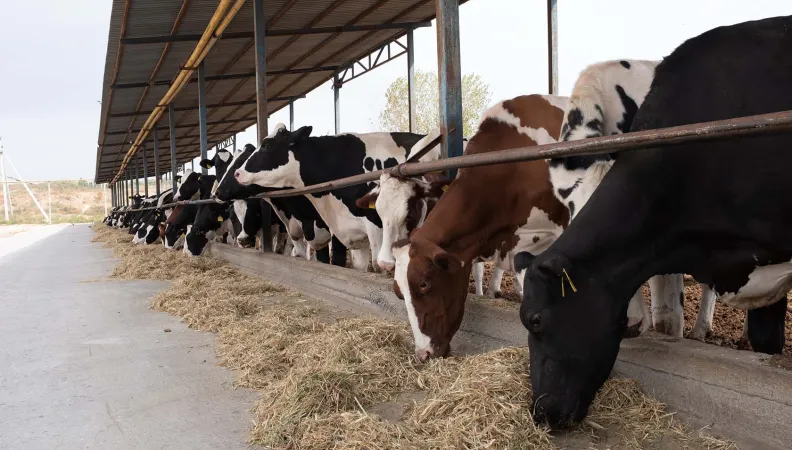uzbekistan-agriculture