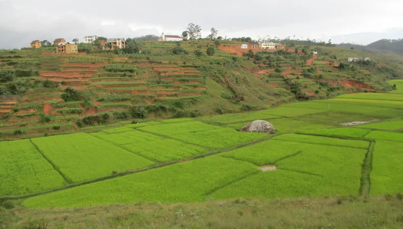 alefa-agroecologie-madagascar