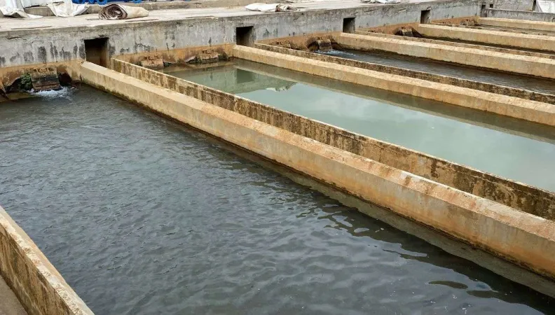 Le programme vise à renforcer les acteurs libanais du secteur de l'eau et assainissement dans leurs fonctions respectives d’opérateurs de service et de tutelle