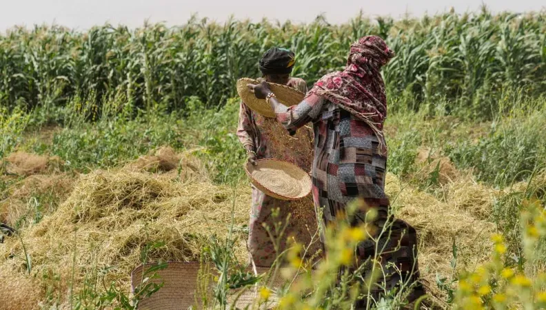 Améliorer la sécurité alimentaire et nutritionnelle des populations des provinces du Chari Baguirmi, d’Hadjer-Lamis et du Lac Tchad