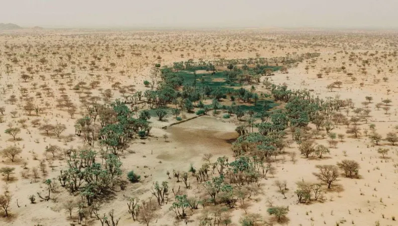 Programme SAIR : Systèmes alimentaires inclusifs et résilients au Niger