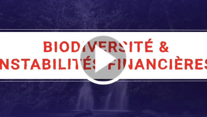 Biodiversité et instabilité financière : Analyse en vidéo de Julien Calas