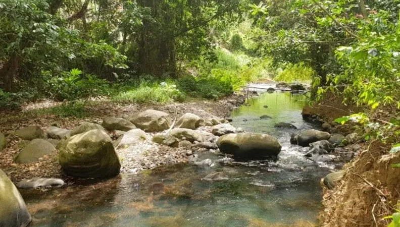 Promouvoir le développement durable sur le territoire à Fort-de-France