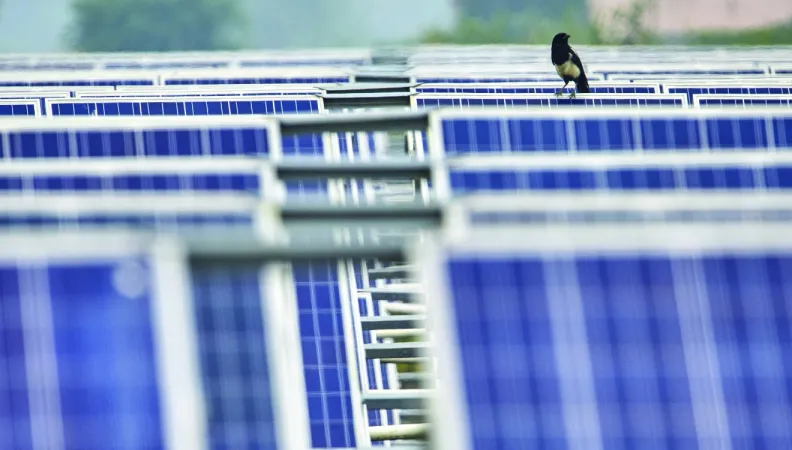 Accompagner la création du premier fonds provincial climat en Chine, dans le Shandong