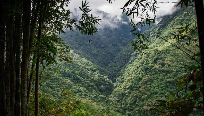 Au Mexique, dans l'Etat de Puebla, la nature offre des paysages exceptionnels. La biodiversité est protégée par des systèmes de gouvernances inédits et encouragés par l'AFD.