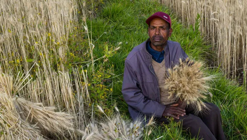Ce projet vise à préserver les ressources en sol et en eau dans dans la région du Sud de l'Éthiopie