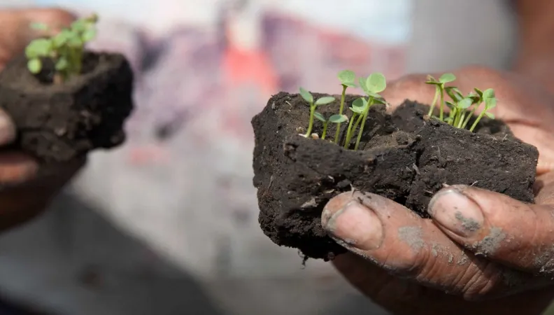 Boues d'épuration Brésil