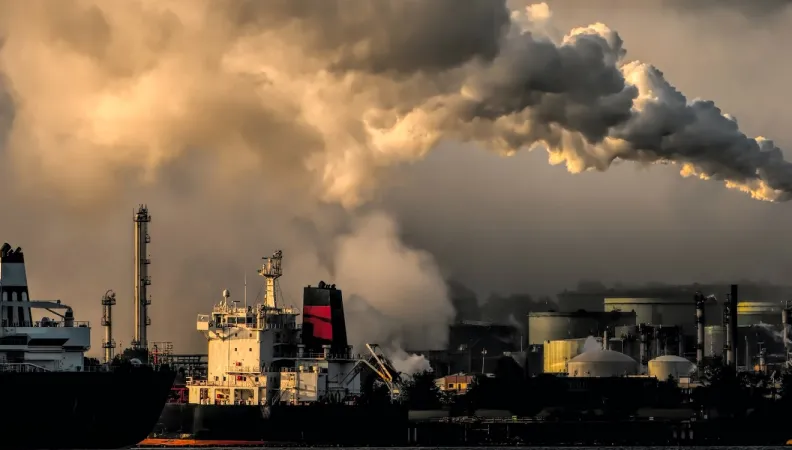 COP 28 interview Mathilde Bord-Laurans experte AFD