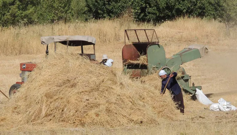 L'AFD accompagne l'ONG Fair Trade Lebanon dans la recherche de solutions concrètes d'adaption au dérèglement climatique dans le secteur agro-alimentaire.