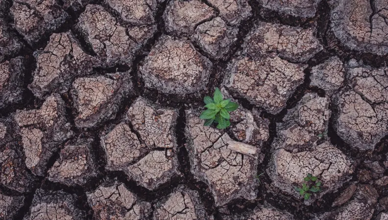 terre Rodriges Maurice