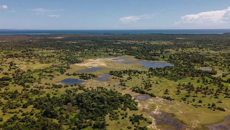 ecosystemes environnement Afrique nature forêt savane
