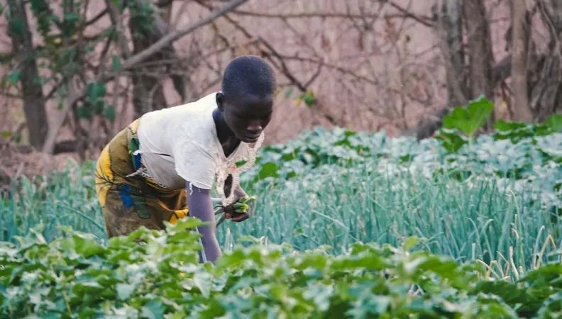 Ce projet vise à accompagner la transformation des exploitations agricoles.
