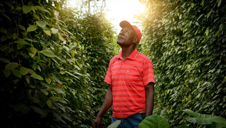 AFD page pays Cameroun