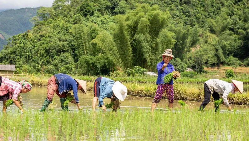 Le projet vise à accélérer la mise en œuvre de politiques et de pratiques d’adaptation qui soient inclusives et transforment les normes de genre, en Amérique latine et en Asie.