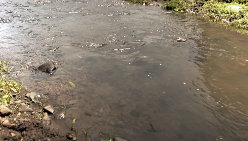 Ce projet vise à améliorer les conditions de vie des habitants de la région de Mombasa en augmentant les volumes d'eau potable produits.