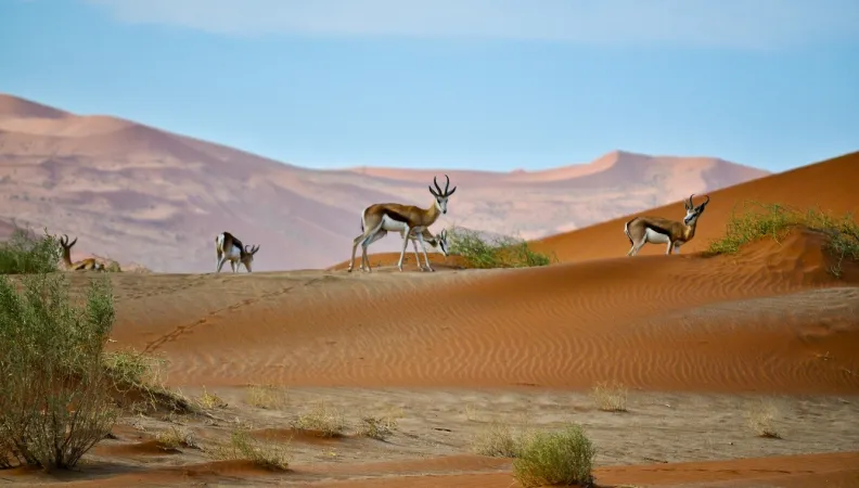Paysage en Namibie.