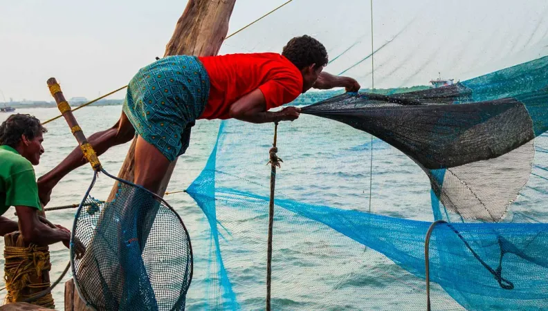 The project is supporting the recovery of the fisheries sector for micro and small businesses through increased access to credit and insurance systems, improved value chains and improved safety of fishery and aquaculture products. 