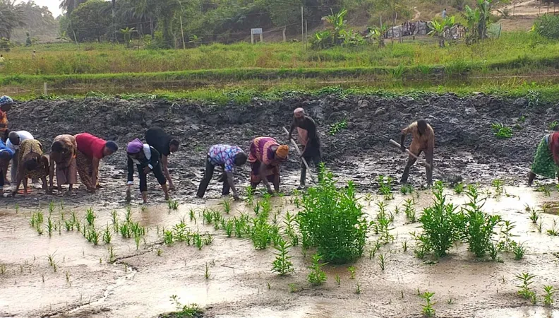 Ce projet vise à contribuer à une augmentation durable de la production du poisson et à une réduction de l’insécurité alimentaire en Côte d'Ivoire