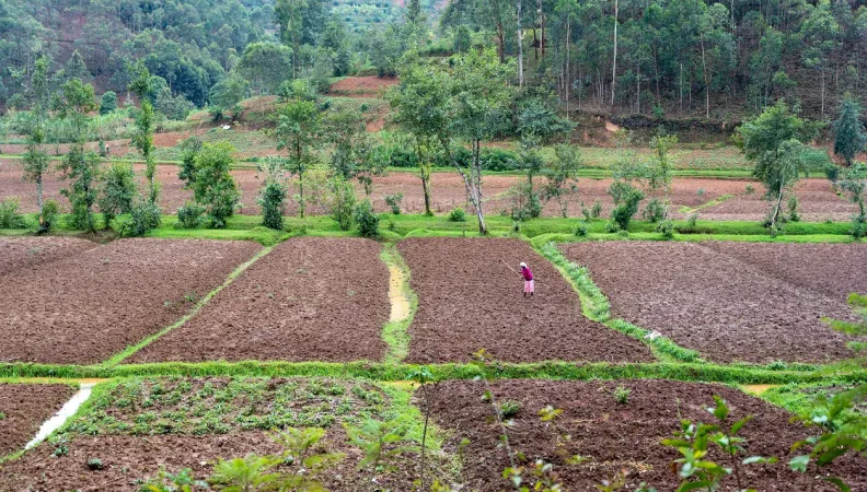partenariats transformation alimentaire afd conference